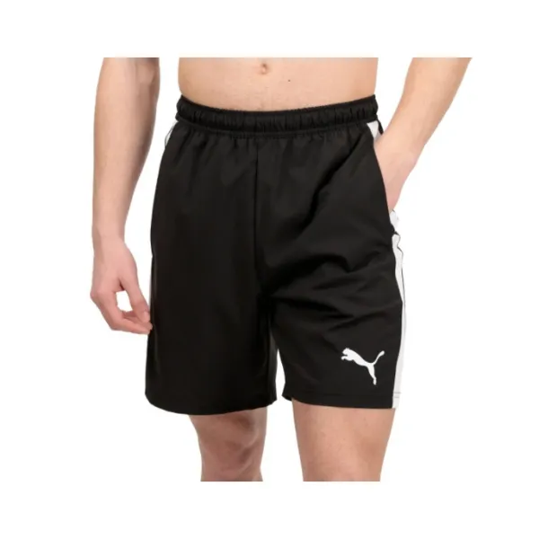 Puma Shorts 931835 TEAMLIGA